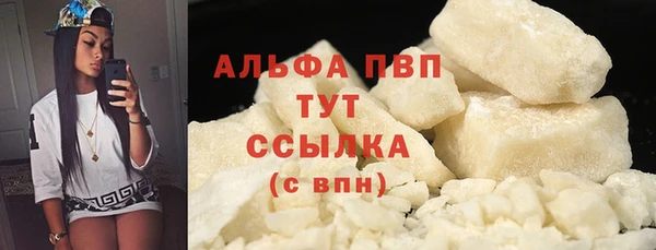 кокс Касимов