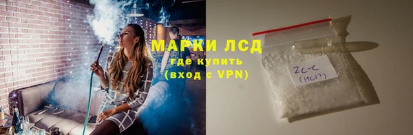 кокс Касимов