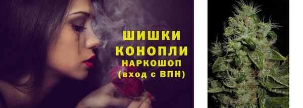 кокс Касимов