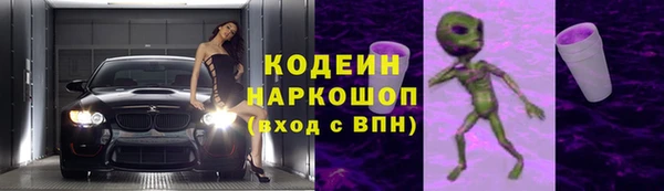 кокс Касимов