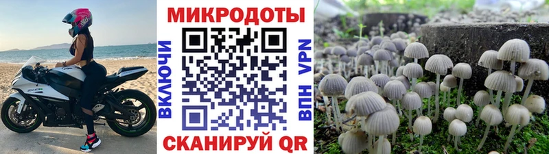 Купить  Советский  Галлюциногенные грибы GOLDEN TEACHER 